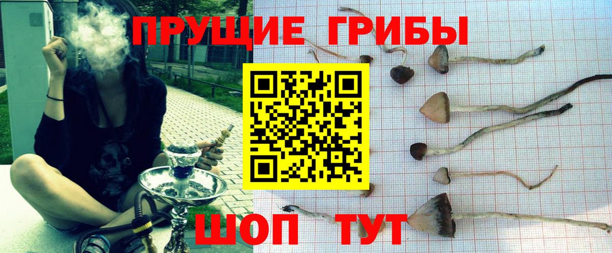 Лысьва  Галлюциногенные грибы мицелий  Вход с VPN 